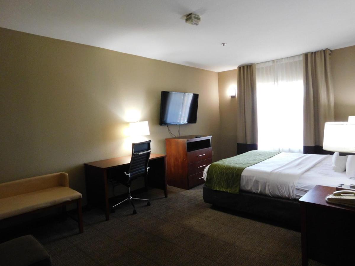 Comfort Inn & Suites Sacramento - University Area Eksteriør billede
