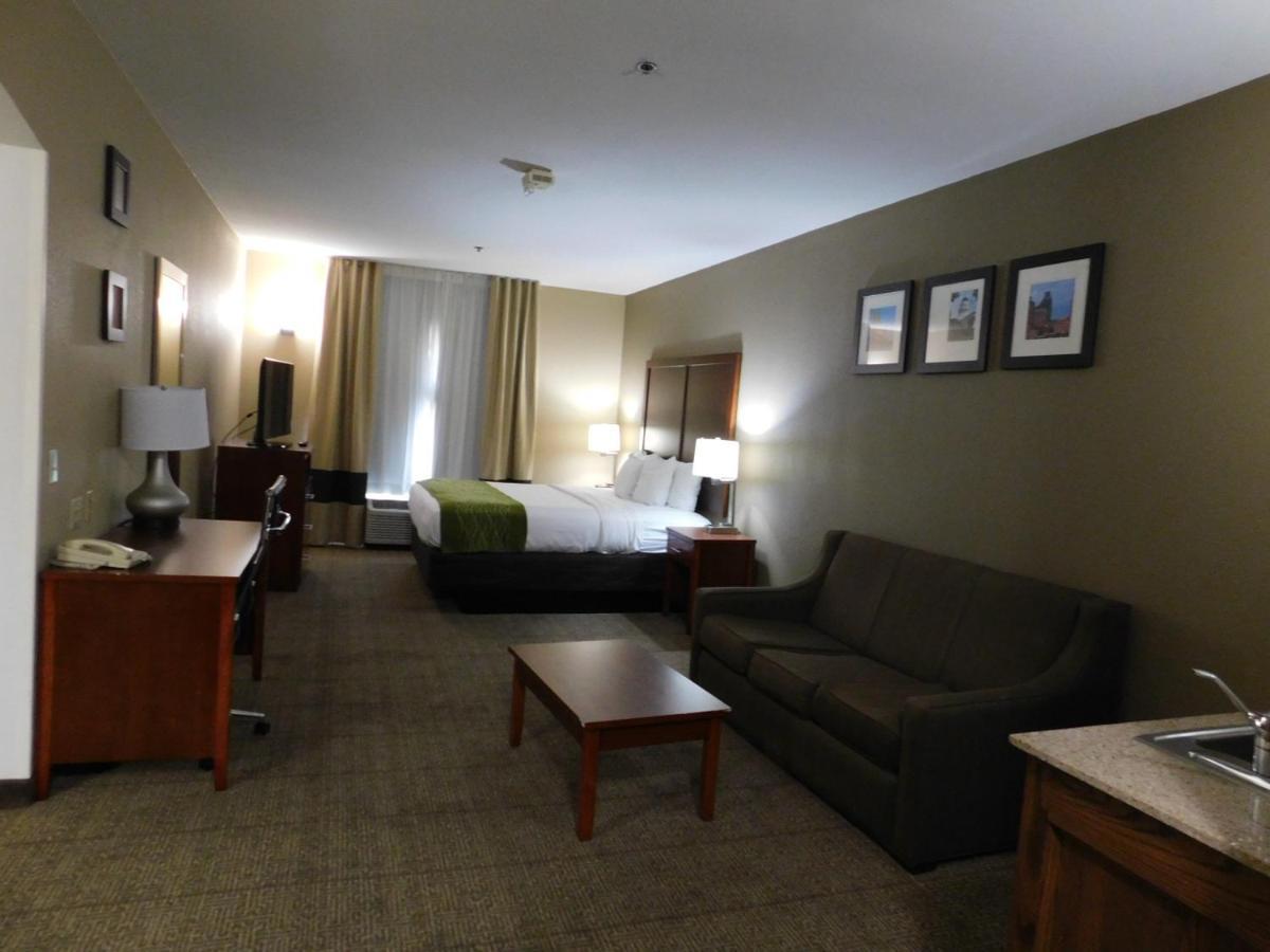 Comfort Inn & Suites Sacramento - University Area Eksteriør billede